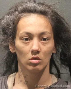 Mugshot of CRYSTAL L SISON booked in Arlington County, Virginia on April 25, 2026