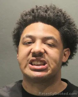 Mugshot of TAJUAN J GONZALES booked in Arlington County, Virginia on April 26, 2026
