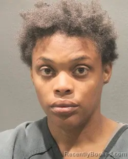 Mugshot of ZENA LAQUETYA JOHNSON booked in Arlington County, Virginia on April 26, 2026