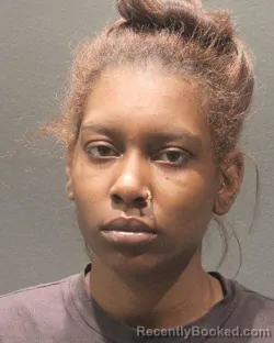 Mugshot of INAJAH JEANETTE JOHNSON booked in Arlington County, Virginia on April 28, 2026