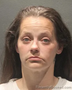 Mugshot of LAUREN LEPINSKY booked in Arlington County, Virginia on April 28, 2026