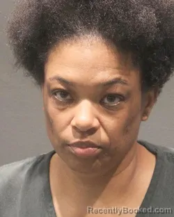 Mugshot of LATRYCE NADINE BROWN booked in Arlington County, Virginia on April 30, 2026