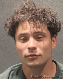 Mugshot of ANDREW RICARDO AGUDELO booked in Arlington County, Virginia on May 3, 2026