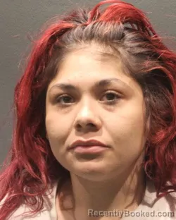 Mugshot of BRENDA VILLANUEVA FLORES booked in Arlington County, Virginia on May 3, 2026