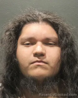 Mugshot of JUNIOR JOSUE ESPINAL CALIX booked in Arlington County, Virginia on June 17, 2026
