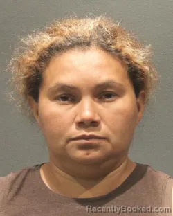 Mugshot of MIRIAN ZULEMA MEDINA GARCIA booked in Arlington County, Virginia on June 19, 2026