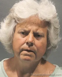 Mugshot of LAURA SCHMIDT booked in Arlington County, Virginia on June 19, 2026