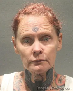 Mugshot of REBECCA KAYE BRAKER booked in Arlington County, Virginia on June 19, 2026