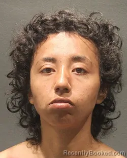 Mugshot of LINDA JOCELIN MENJIVAR booked in Arlington County, Virginia on June 19, 2026