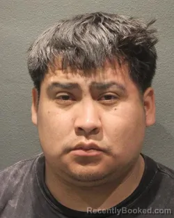 Mugshot of EMERSON JON SAGARDIA CALUSTRO booked in Arlington County, Virginia on June 21, 2026