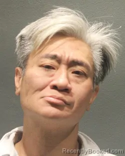 Mugshot of TUAN ANH DANG booked in Arlington County, Virginia on June 26, 2026