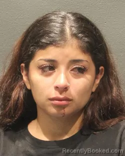 Mugshot of KATHERINE JASMIN BENITEZ booked in Arlington County, Virginia on June 28, 2026