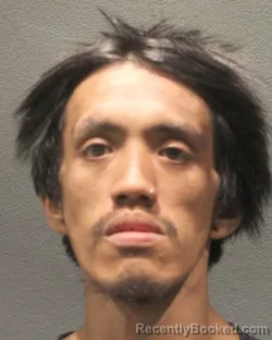 Mugshot of KENNETH PACLING booked in Arlington County, Virginia on July 1, 2026