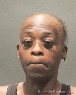 Mugshot of MONA LISA BERRY booked in Arlington County, Virginia on July 2, 2026
