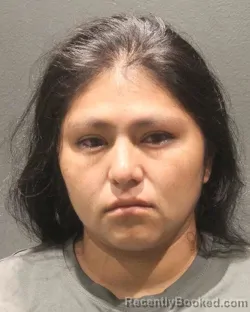 Mugshot of ANA SILVIA JACHACOLLO MARCA booked in Arlington County, Virginia on July 4, 2026