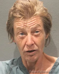 Mugshot of KATHLEEN J JAMES JOHNSON booked in Arlington County, Virginia on July 4, 2026