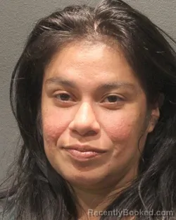 Mugshot of Victoria Stephanie Thompson booked in Arlington County, Virginia on July 26, 2026