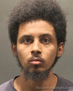 Mugshot of SUNNY DESTA booked in Arlington County, Virginia on July 30, 2026