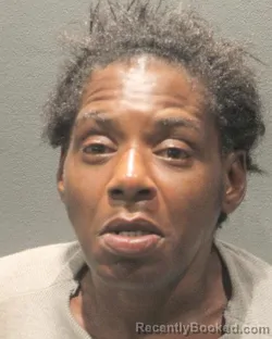 Mugshot of Sandra W Holt booked in Arlington County, Virginia on August 20, 2026