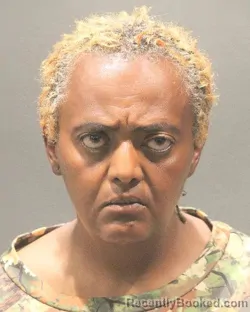 Mugshot of Lamrot Seifu Kebede booked in Arlington County, Virginia on August 23, 2026