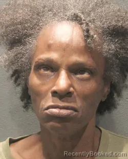 Mugshot of Stephanie L Green booked in Arlington County, Virginia on August 24, 2026