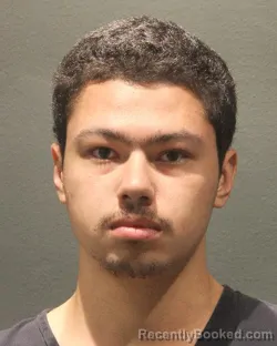 Mugshot of Moritz Luca Hobbs booked in Arlington County, Virginia on August 25, 2026