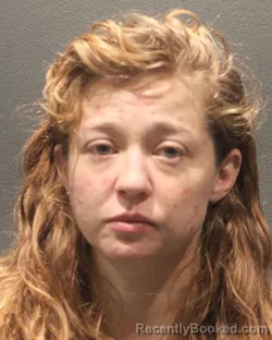 Mugshot of Lauren Avery Brower booked in Arlington County, Virginia on August 28, 2026