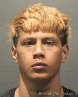 Mugshot of Yoiber Martinez Fernandez booked in Arlington County, Virginia on August 28, 2026