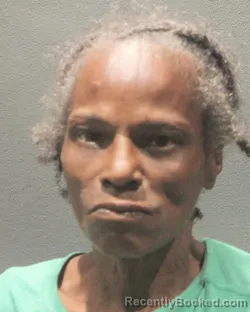 Mugshot of Stephanie Lanyesse Green booked in Arlington County, Virginia on August 31, 2026