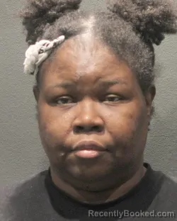 Mugshot of Catherine Rochelle Anderson booked in Arlington County, Virginia on August 31, 2026