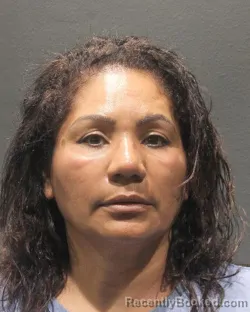 Mugshot of Alba Lucia Avila Lopez booked in Arlington County, Virginia on September 3, 2026