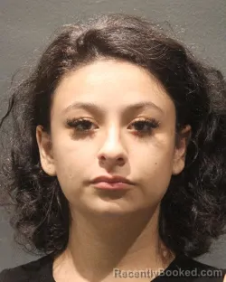 Mugshot of Michelle Gabriela Venutra booked in Arlington County, Virginia on September 9, 2026