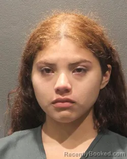 Mugshot of Judith Ortez Vasquez booked in Arlington County, Virginia on September 26, 2026