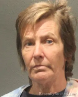 Mugshot of Kathleen J James Johnson booked in Arlington County, Virginia on October 6, 2026