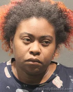 Mugshot of Kiara Alexandra Hibbitt booked in Arlington County, Virginia on October 25, 2026