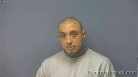 Mugshot of AUSTIN LEE PAINTER