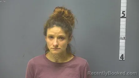 Mugshot of SHANNON NICOLE DAVIS