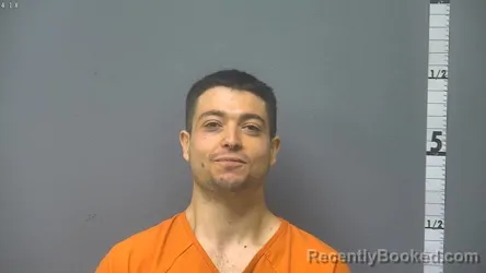 Mugshot of BRANDON HENRY LEVINE