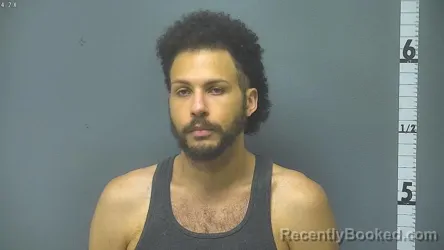 Mugshot of TYLER ERIC REED