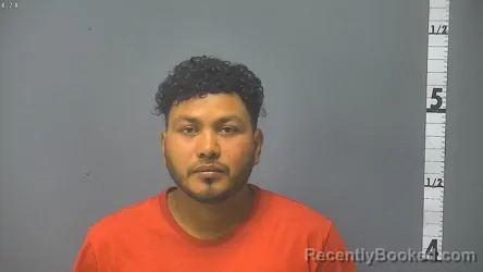 Mugshot of LUIS GUEVARA HERNANDEZ