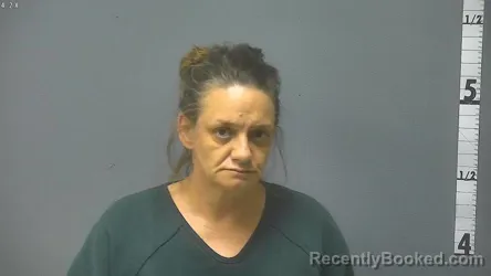 Mugshot of TAMMY LYNN WILKINSON HOLLOWAY booked in Augusta County, Virginia on June 2, 2026