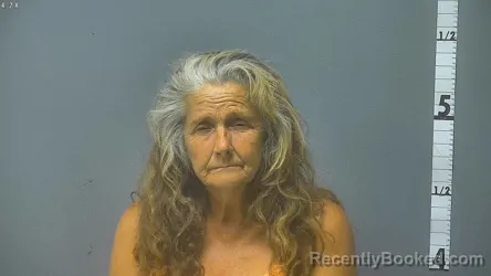 Mugshot of THERESA LYNN PRICE booked in Augusta County, Virginia on July 4, 2026