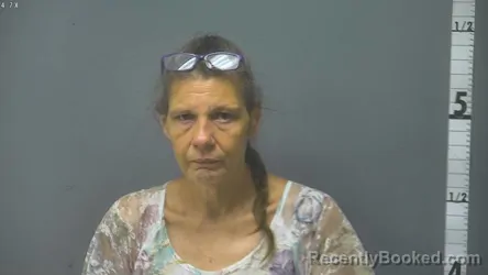 Mugshot of Tanya Lee Lamb booked in Augusta County, Virginia on August 14, 2026