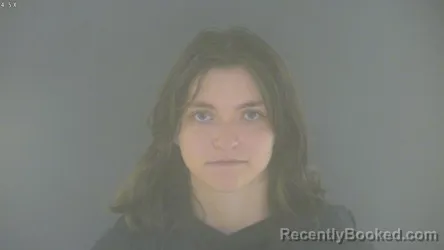 Mugshot of CRUSHAWNA LABRAE ELY booked in Bedford County, Virginia on June 29, 2026