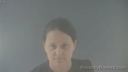 Mugshot of CHRISTINA CREASY WILSON booked in Bedford County, Virginia on April 26, 2026