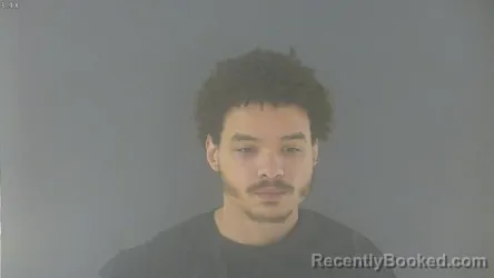 Mugshot of DEVIN MONTEGO POWERS