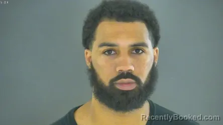 Booking photo from Bedford County, Virginia