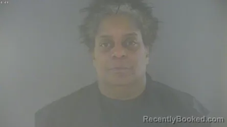 Mugshot of Janel Lee Murphy booked in Bedford County, Virginia on August 4, 2026