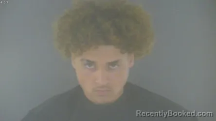 Mugshot of KAMERSON SHANABERGER booked in Bedford County, Virginia on April 18, 2026