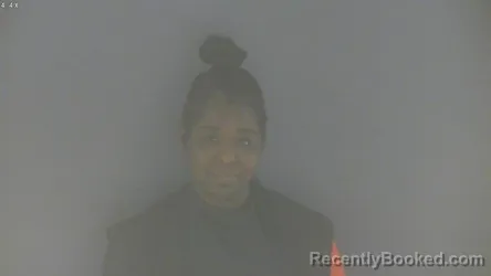 Mugshot of MICHELLE BROWN booked in Bedford County, Virginia on July 31, 2026